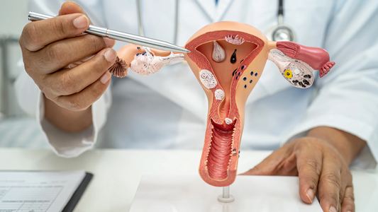 ¿Por qué muchos médicos no enseñan el Método Sintotérmico?